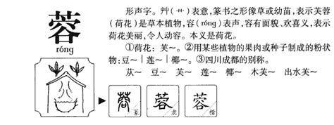 蓉名字意思